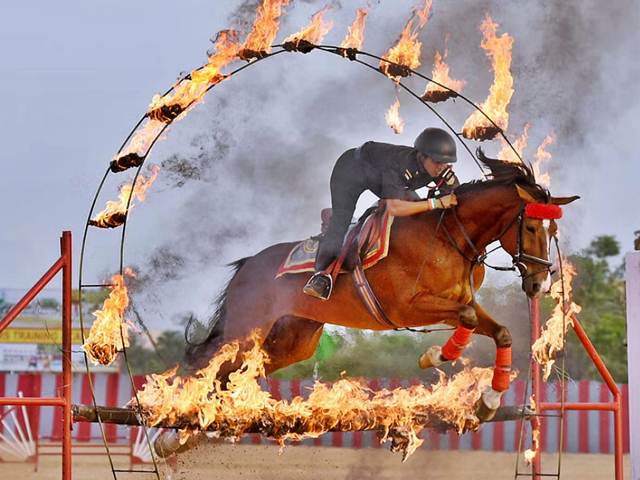 indian army horse rider indian army horse rider